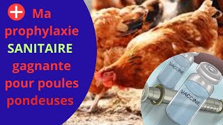 Tout savoir sur ma prophylaxie sanitaire des poules pondeuses de A à Z [upl. by Nuyh]