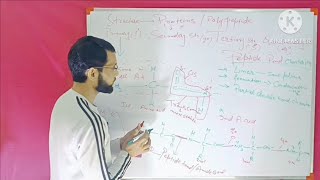 Lec No 4 Basic What is peptide bond between proteins NEET 1112th [upl. by Artek218]