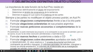 Lec32 Delimitación del objeto procesal umh1434 201516 [upl. by Alyt]