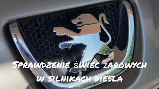 Sprawdzenie świec żarowych w silniku diesla 16 hdi peugeot citroen [upl. by Norford]