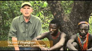 The Hadza Last of the First  Honeyguide Bird [upl. by Nosrej590]