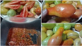 Tomatoes Huge Harvesting From My Terrace Garden  🏡 [upl. by Loy]