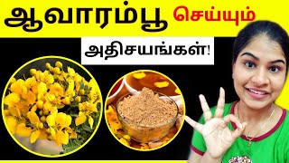 Aavaram Poo Benefits in Tamil  Avarampoo  Avaram poo [upl. by Anawaj]