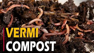 How to Make Vermicompost  How To make Vermicompost at Home From Kitchen Waste [upl. by Einatsed578]