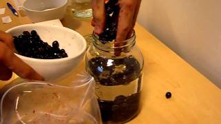 How to make Sloe Gin  Sloe Gin Recipe [upl. by Cristen]