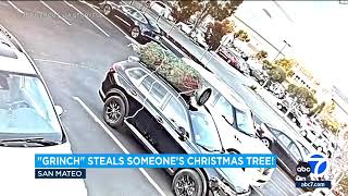 Reallife Grinch steals familys Christmas tree [upl. by Breana108]