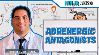 Autonomic Pharmacology  Adrenergic Antagonists [upl. by Nodnarb410]