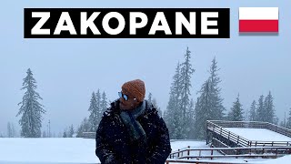 Escape to Zakopane Winter Adventures in Polands Alpine Gem [upl. by Brabazon525]