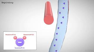 elektrische Polarisation erklärt [upl. by Lehteb494]
