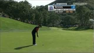 Tiger Woods Analysis of his new Putting Grip [upl. by Ruyle]