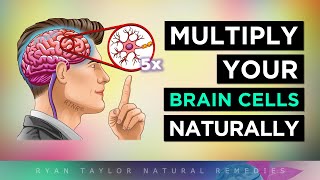 12 Ways To MULTIPLY Your BRAIN CELLS [upl. by Halil]