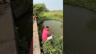 The village fisherman caught a big monster fish from the roadside canal fishvideo shorts fishing [upl. by Rey541]