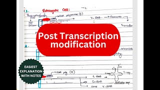 Posttranscriptional modification  Splicing Cap Tail Introns Exons RNA editing [upl. by Aizat873]