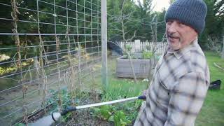 Simple Aerating Tips for Your Garden [upl. by Moyna]