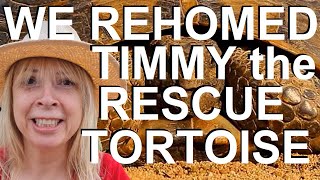 We rehomed Timmy the Rescue Mediterranean SpurThighed Tortoise  Lorna the Tortoise Whisperer [upl. by Prakash622]