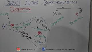 Pharmacology of Direct Acting Sympathomimetics [upl. by Nyasuh]