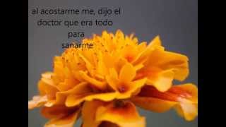 Gotitas de amor  Jesse y Joy lyrics video [upl. by Jonas553]