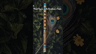 Enchanting Flute Krishna Theme Flute krishna flute music krishna shorts flute [upl. by Rickert]