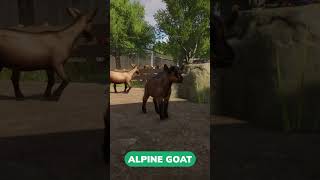 All Babys in the Planet Zoo Barnyard Animal Pack [upl. by Bertold]