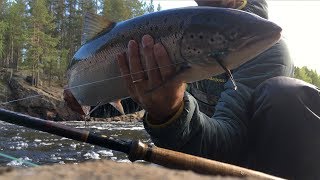 Springtime For The Råne River  Salmon Fishing in Northern Sweden and the Saving of a River [upl. by Dar]