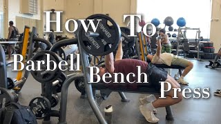 How to Barbell Bench [upl. by Nadual]