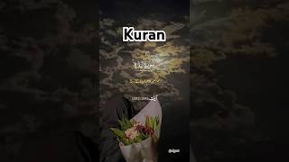 Quran quran quranrecitation [upl. by Lytsirhc]