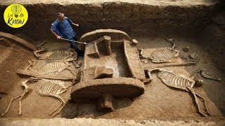 20 Archaeological Discoveries That Will Blow Your Mind [upl. by Htieh277]