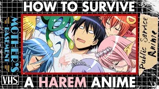 How to Survive a Harem Anime  Public Service Anime [upl. by Atilef]