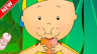 ★NEW★ CAILLOU GOES CAMPING  Funny Animated Videos For Kids [upl. by Felten]