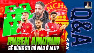 MAN UTD SẼ SỬ DỤNG SƠ ĐỒ NÀO DƯỚI THỜI RUBEN AMORIM  QampA HỎI ĐÁP CÙNG BLV ANH QUÂN [upl. by Chalmers]