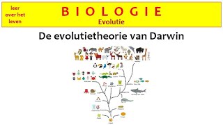 Biologie  Evolutie  De evolutietheorie van Darwin [upl. by Seana]