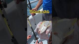 How to Unhook A Fish Safely And Easily fishing aquatic fish [upl. by Trepur]