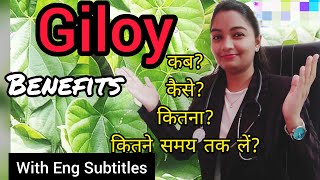 Giloy Benifits गिलोय के फायदेHow to use कब कैसे कितना लेin Hindi Eng Subtitles by DrAnamikaJain [upl. by Teerpnam]