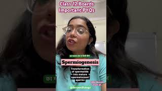 🧬🔬Spermiogenesis biology cbse neet boards cbseboards teacherlife biologyclass12 education [upl. by Neyuh]