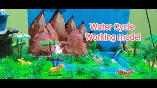 Water Cycle Working Model  Science Project fair project [upl. by Sedecrem16]