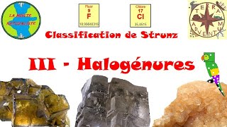 Les Halogénures Classif de Strunz 3 Minute Naturaliste 31 [upl. by Asenav]