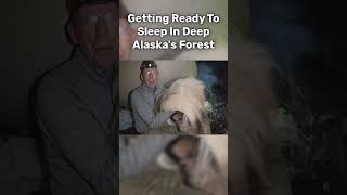 Sleeping Overnight at Alaskas Forest [upl. by Wycoff]