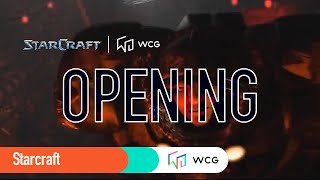 Starcraft Brood War Opening [upl. by Bautista]