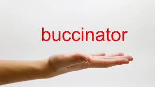 How to Pronounce buccinator  American English [upl. by Ainez759]