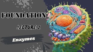 Enzymes 2 Biochemistry factors affecting enzyme activity Foundation module Dr Adham Saleh [upl. by Anehta]