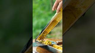 How To Make Omlet With Bambo recipe shorts survival omlet short recipe asmr viralvideo [upl. by Tik]