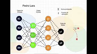 Las redes neuronales artificiales RNA [upl. by Narmak]