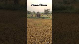 TSR farming farmer agriculturefarming agriculture trending [upl. by Artinad457]