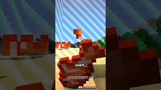 Minecraft but if I TAKE DAMAGE the BORDER EXPANDS ⛏️ shorts [upl. by Rotce]