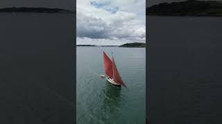 Falmouth Classics Stunning yachts so great to see  even better to sail shorts [upl. by Ahmed]