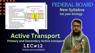 Active transport  Primary and Secondary active transport  class 11 [upl. by Lewie]