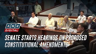 Senate starts hearings on proposed constitutional amendments  ANC [upl. by Nnaarat]