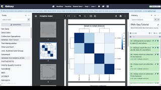 RNA Seq Tutorial [upl. by Anhpad]