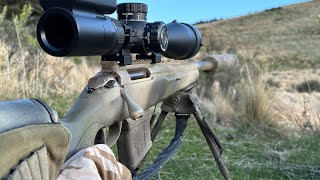 Hog Hunting overnight Mission  223 at 950 yards  Tikka Varmint [upl. by Yraillih]