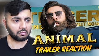 Pakistani Reacts to ANIMAL TRAILER  RANBIR KAPOOR [upl. by Jessee]